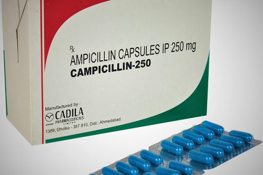 Campicillin 250 MG Capsule